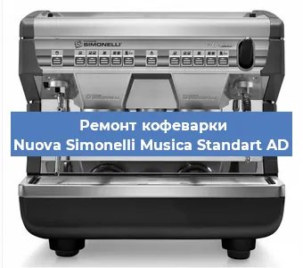 Чистка кофемашины Nuova Simonelli Musica Standart AD от накипи в Красноярске